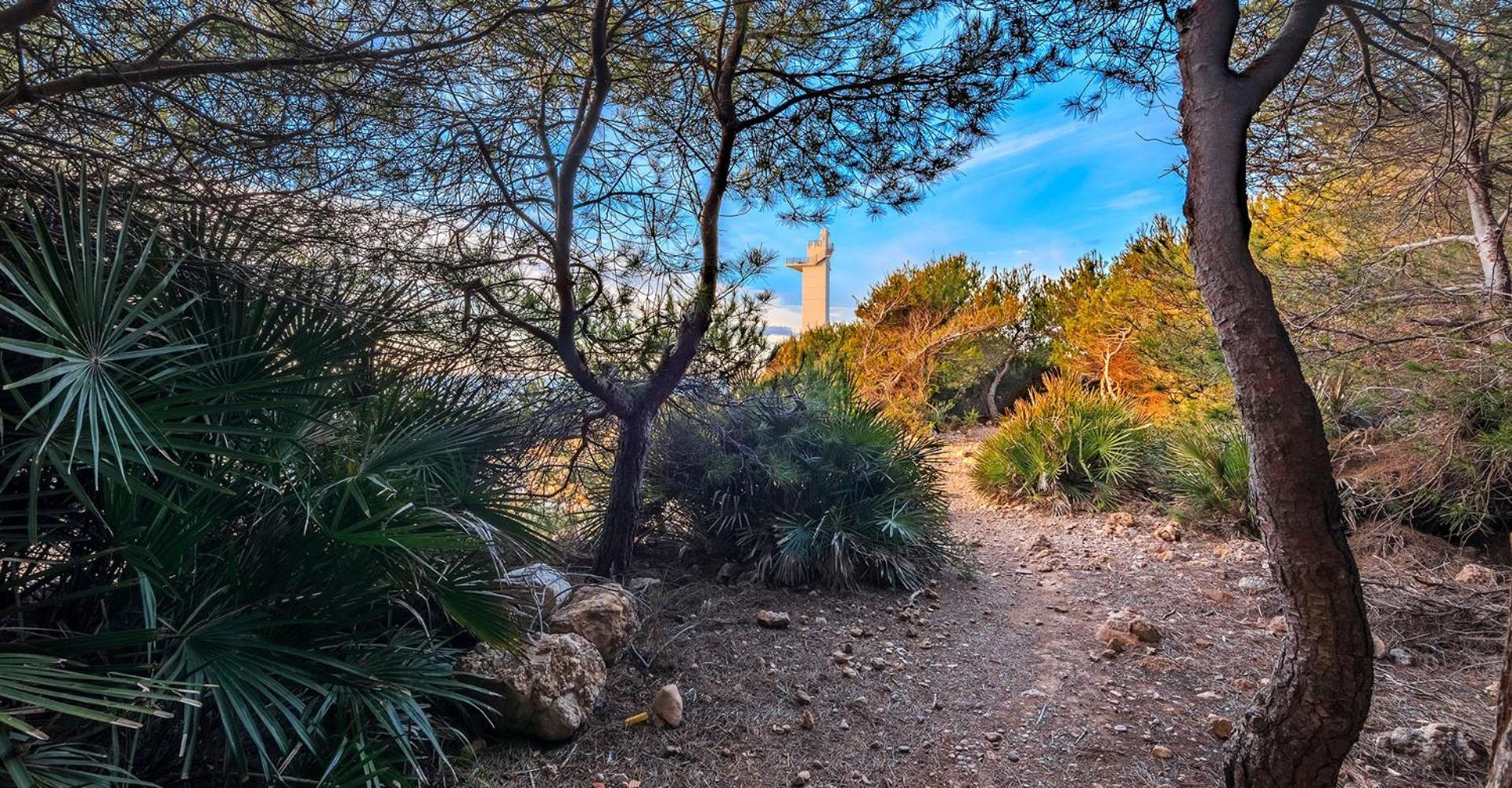 Apartamento Mar Y Montana Alcossebre エクステリア 写真
